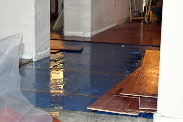 Professional Water Damage technician working in Cascade, WI
